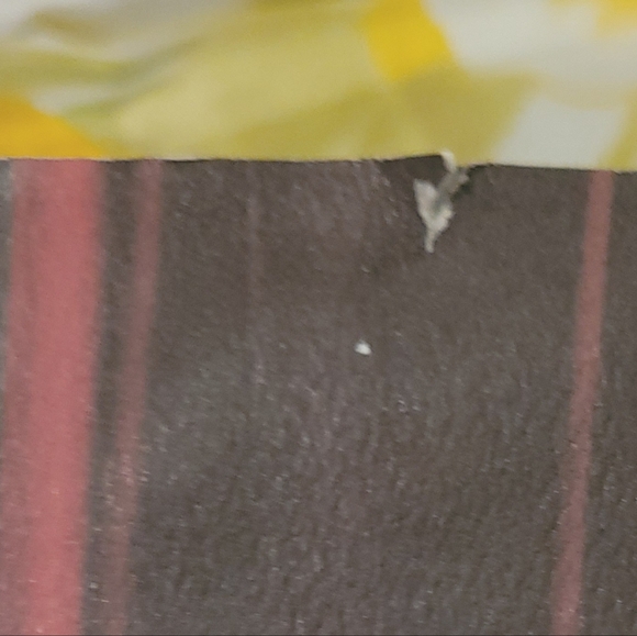 The Historian by Elizabeth Kostova - Picture 4 of 8